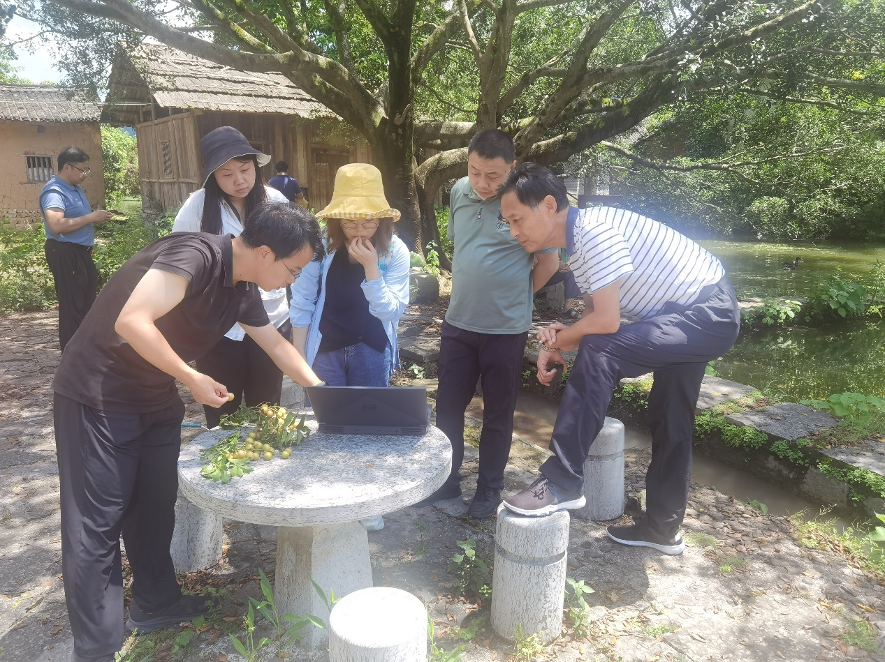 專家組與清華大學教授團隊現場交流方案